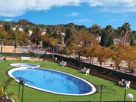 Apartamentos Caribe Marina Dor 3000