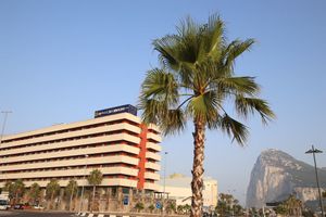 Ohtels Hotel Campo de Gibraltar