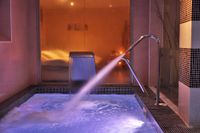 Hotel & Spa Plaza Arriate