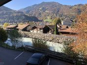 Historic Hotel Steinbock