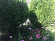 Montenegro central point