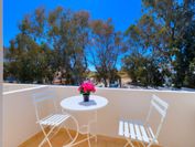 Alexander's Great View