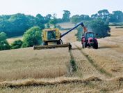 Higher Bruckland Farmhouse B&B