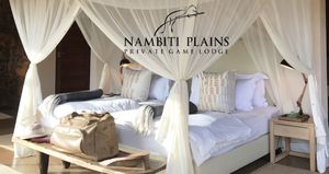 Nambiti Plains Private Game Lodge