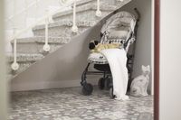 Gatto Perso Luxury Apartments