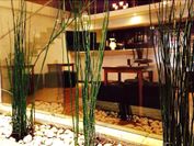 Hotel Suites Santa Teresa