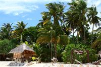 Flower Island Resort