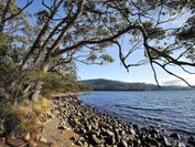 NRMA Port Arthur Holiday Park