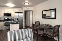 Dolphin Cove - Adults only