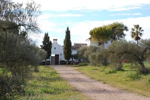 Hacienda Dos Olivos