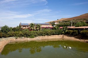 Agriturismo Al Lago Verde