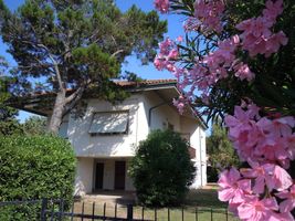 Villa Argentario - Villa Argentario