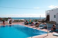 The Tree House Hostel+Entrada Jungle Park 1 día