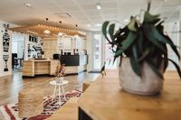 UXCO Kabane Montpellier