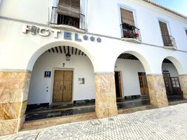 Hotel Don Miguel Plaza