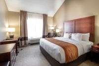 Comfort Inn & Suites Love Field - Dallas Market Center