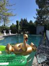 Safari Hotel+Billet au Parc Spirou Provence - 1 Jour