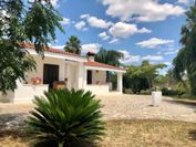 Affittacamere Paduli Piani