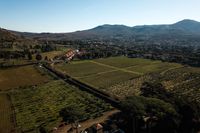 Villa Cavalletti Camere