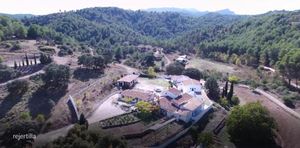 La Rejertilla