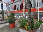 Hotel Paradiso+Biglietto Fico Tour Eataly World