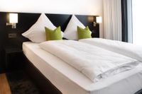RHE Hotel by WMM Hotels+Billet Europa Park 1 jour