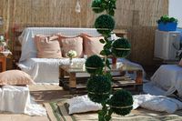 El patio del limonero