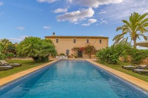 Buger - 30704-2 Mallorca