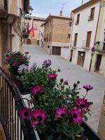 ALBERGUE CASA ARQUEÑA sólo peregrinos con credenciales