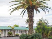 Palm Motel Waihi